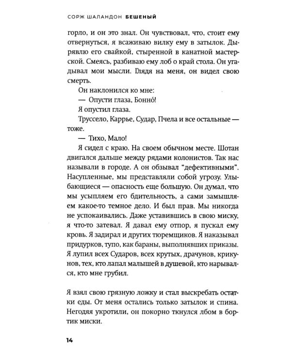 Бешеный: роман