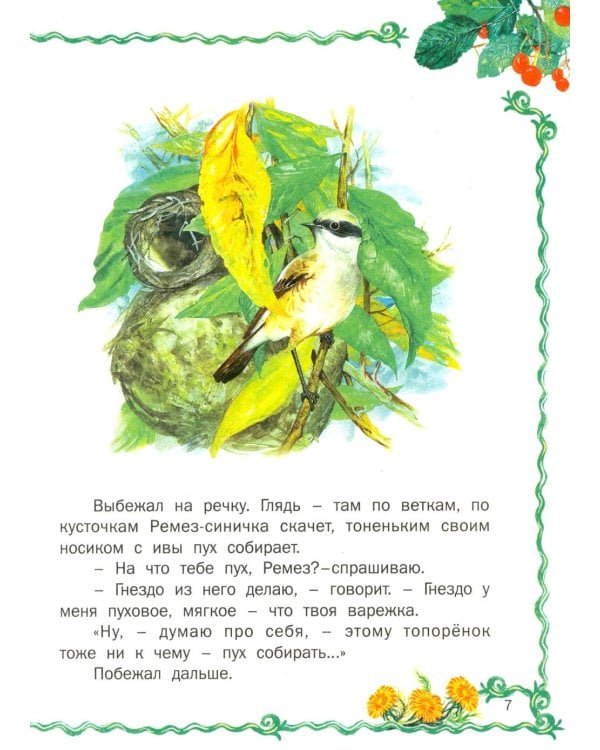 Лесные истории