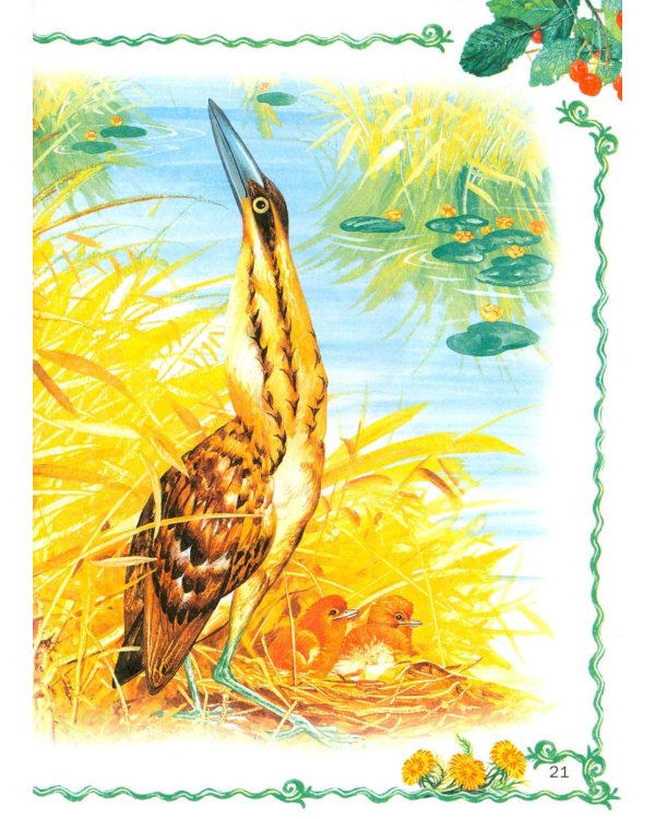 Лесные истории