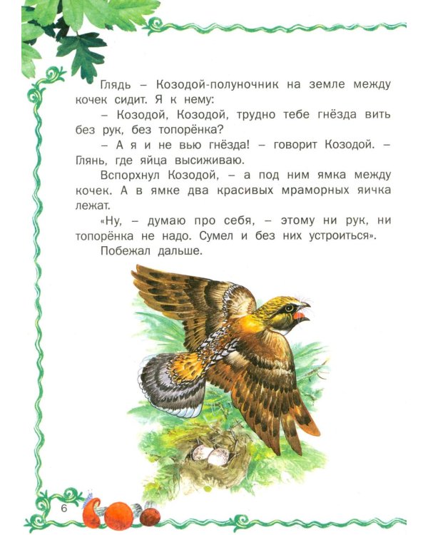 Лесные истории