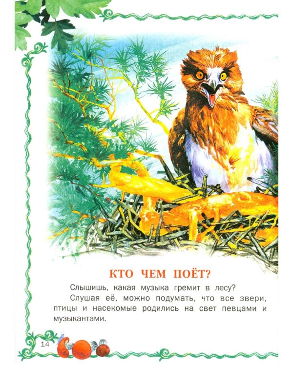 Лесные истории