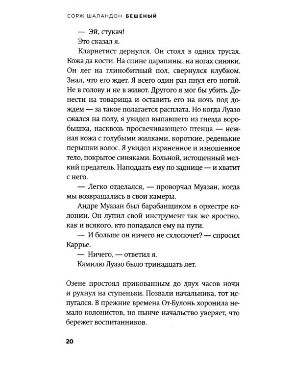 Бешеный: роман