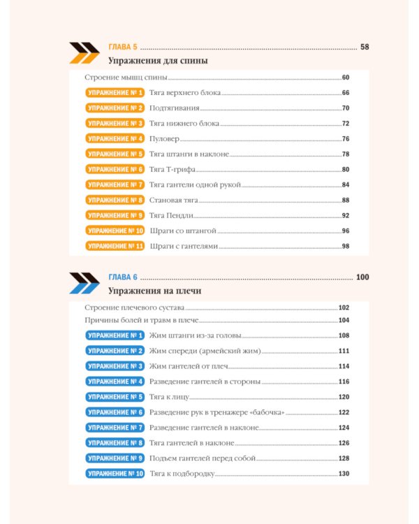 Анатомия силовых тренировок