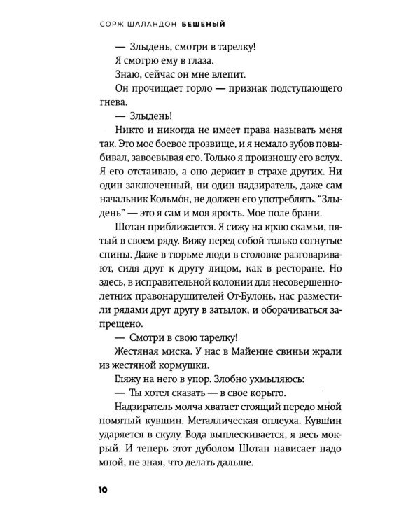 Бешеный: роман