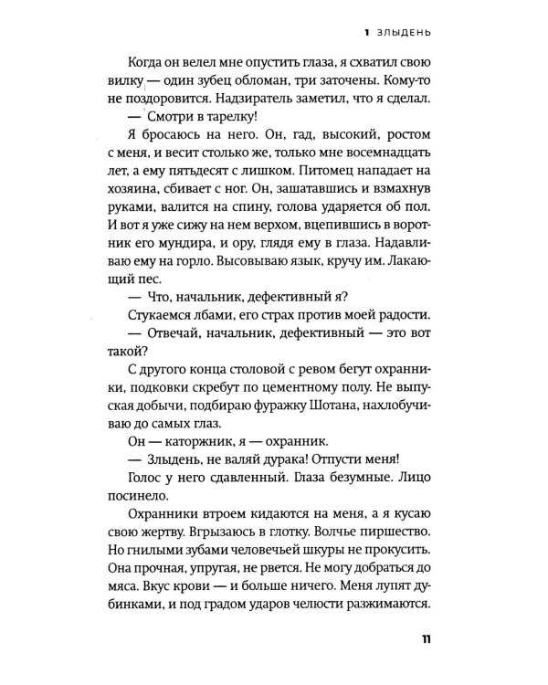 Бешеный: роман