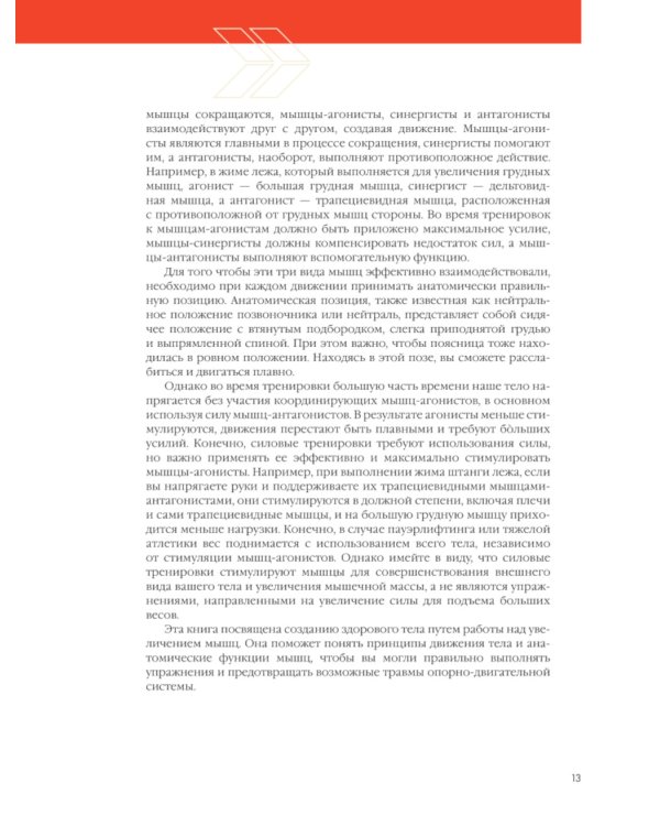 Анатомия силовых тренировок