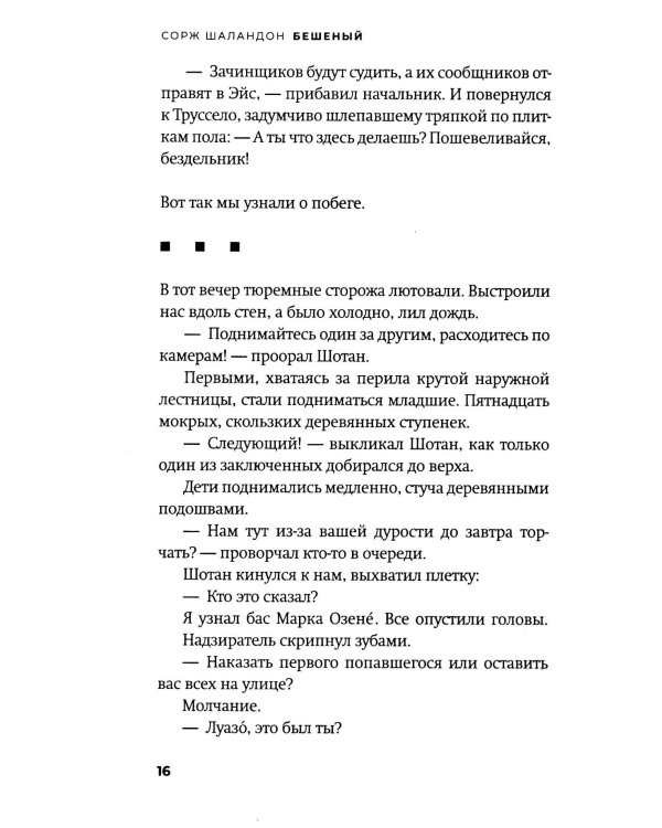 Бешеный: роман