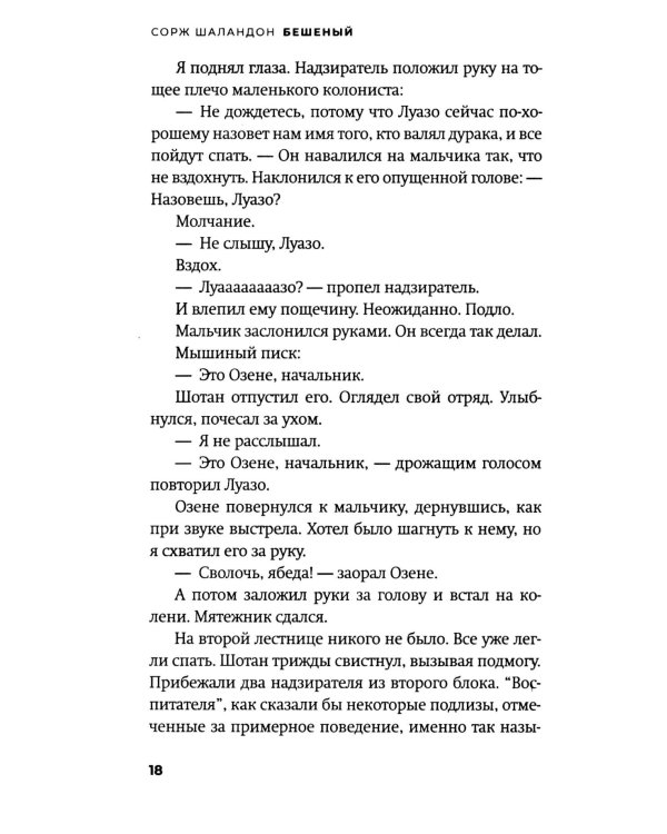 Бешеный: роман