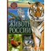 Животные России. Популярная детская энциклопедия