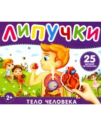 Липучки "Тело человека". 25 деталей на липучках. 2+