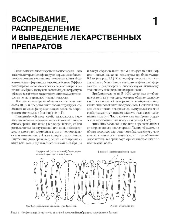 Фармакология для анестезиологов. 5-е изд