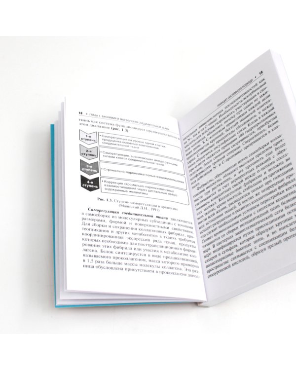 Дисплазия соединительной ткани. 2-е изд., испр. и доп