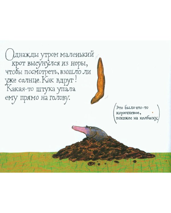 Маленький крот, который хотел знать, кто наделал ему на голову