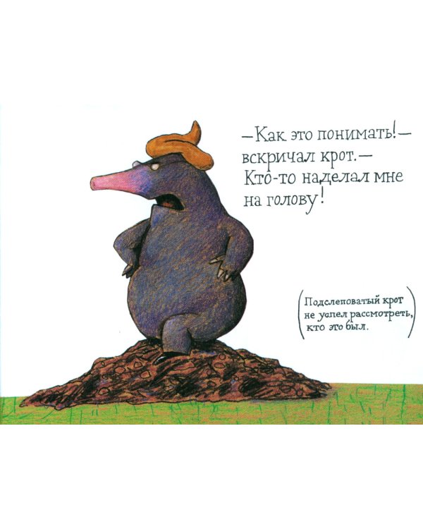Маленький крот, который хотел знать, кто наделал ему на голову