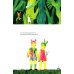 Дополнительное изображение книги «Куда мы идем?»