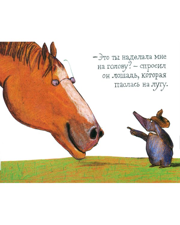 Маленький крот, который хотел знать, кто наделал ему на голову