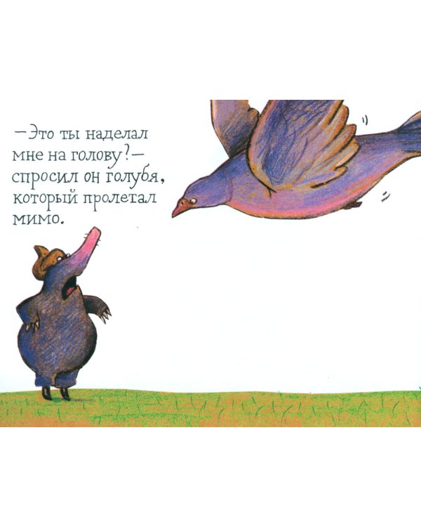 Маленький крот, который хотел знать, кто наделал ему на голову