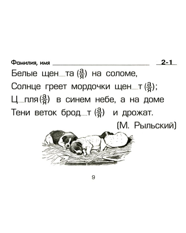 Русский язык: Сборник самостоятельных работ "Вставь букву!": 1-2 кл 21-е изд., стер