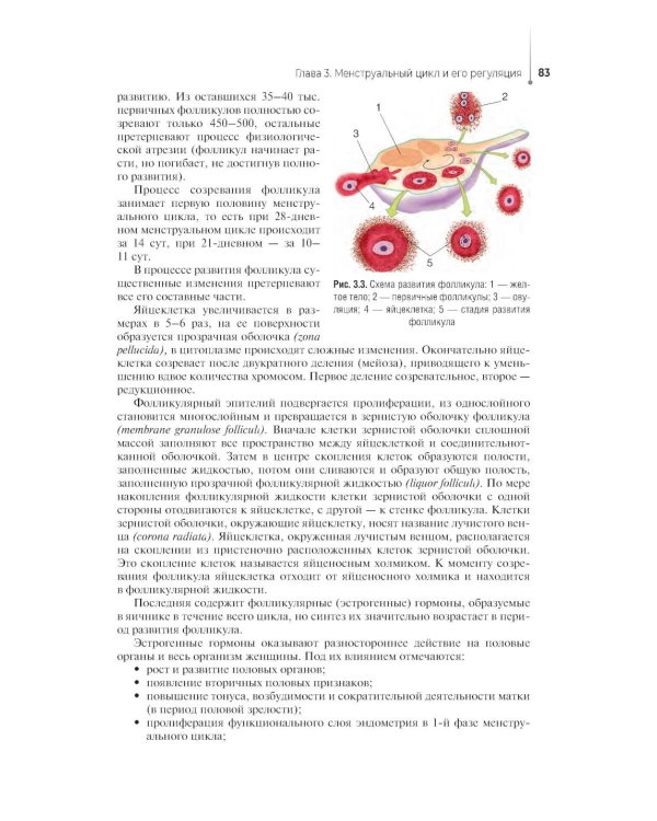 Проведение медицинского обследования с целью диагностики, назначения и проведения лечения заболеваний акушерско-гинекологического профиля: Учебник