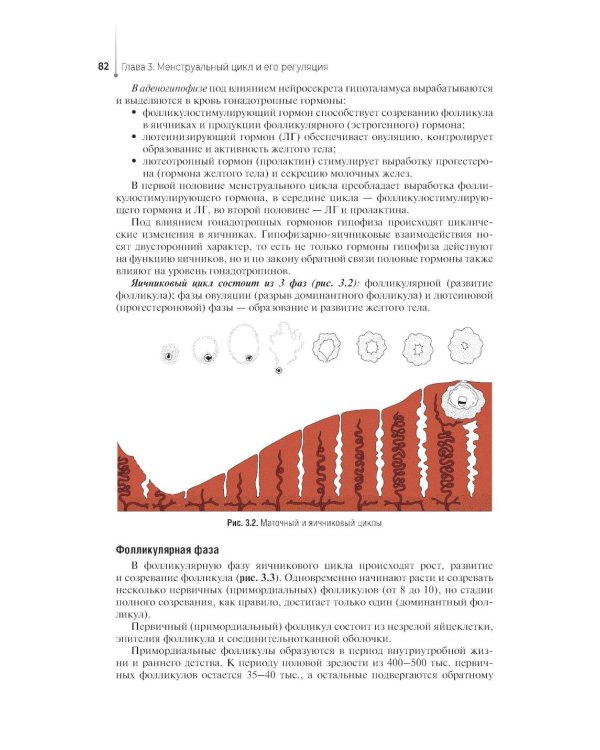 Проведение медицинского обследования с целью диагностики, назначения и проведения лечения заболеваний акушерско-гинекологического профиля: Учебник