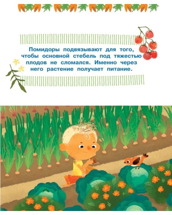 Миссия с хвостиками: веселые истории