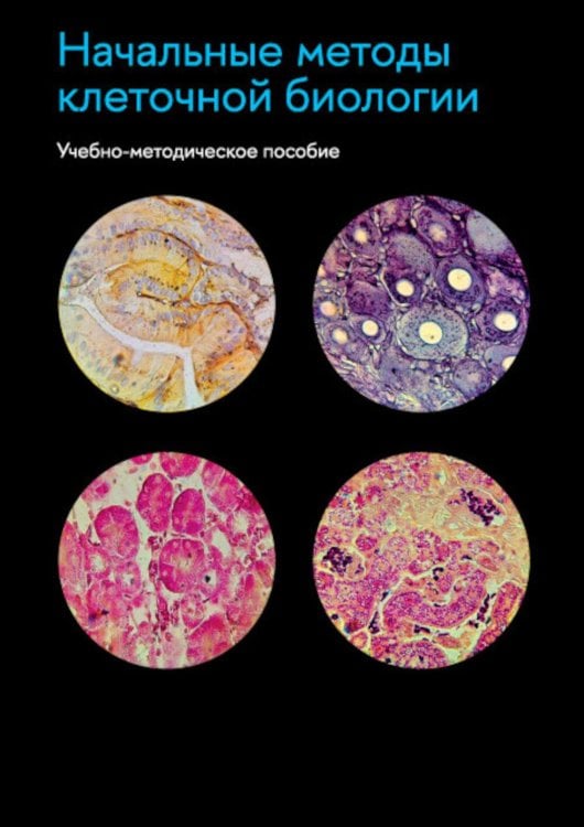 Начальные методы клеточной биологии: Учебно-методическое пособие