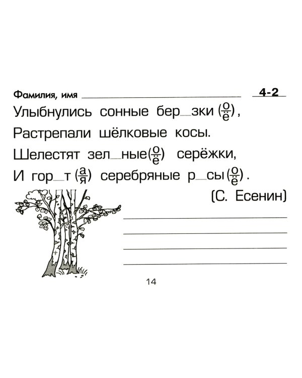 Русский язык: Сборник самостоятельных работ "Вставь букву!": 1-2 кл 21-е изд., стер