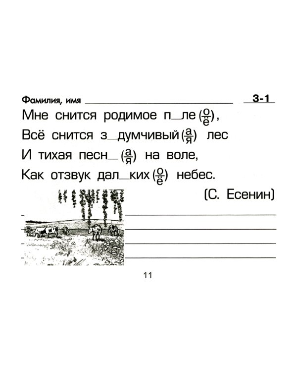 Русский язык: Сборник самостоятельных работ "Вставь букву!": 1-2 кл 21-е изд., стер