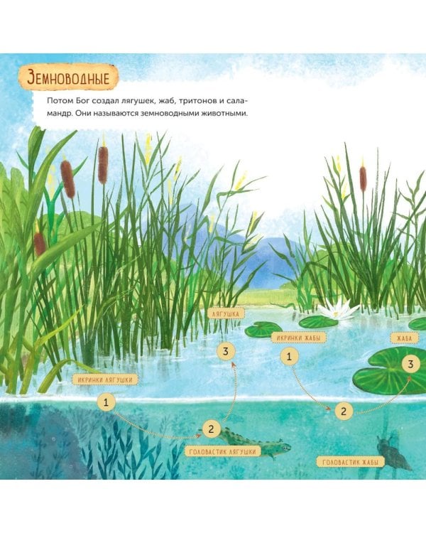 Дни творения (+ наклейки). 3-е изд