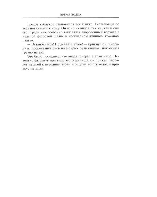 Время волка: роман