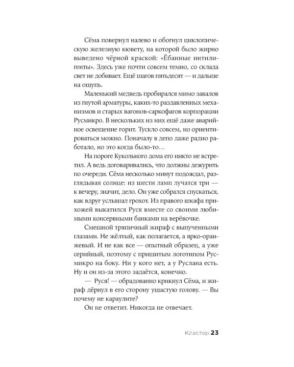 Кластер: роман