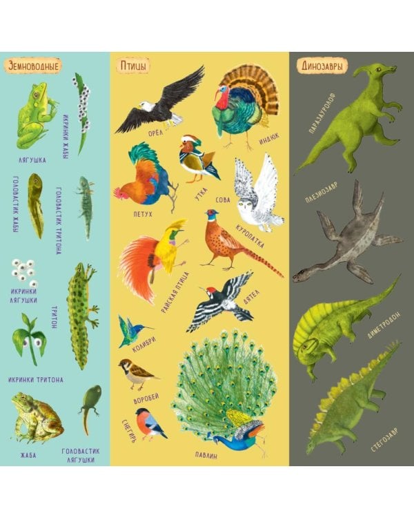 Дни творения (+ наклейки). 3-е изд