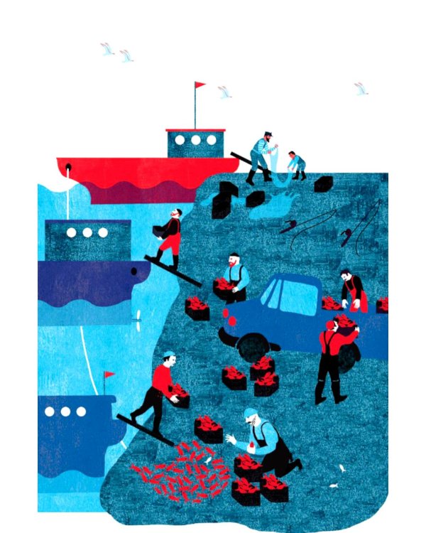 Дополнительное изображение книги «Маленькое руководство по мореходству»