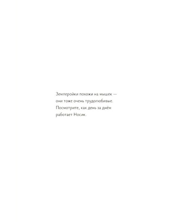 Дополнительное изображение книги «Землеройка Носик»