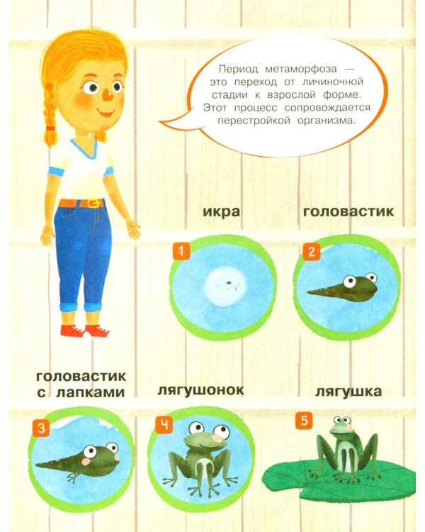 Лесной выпускной: Веселые истории