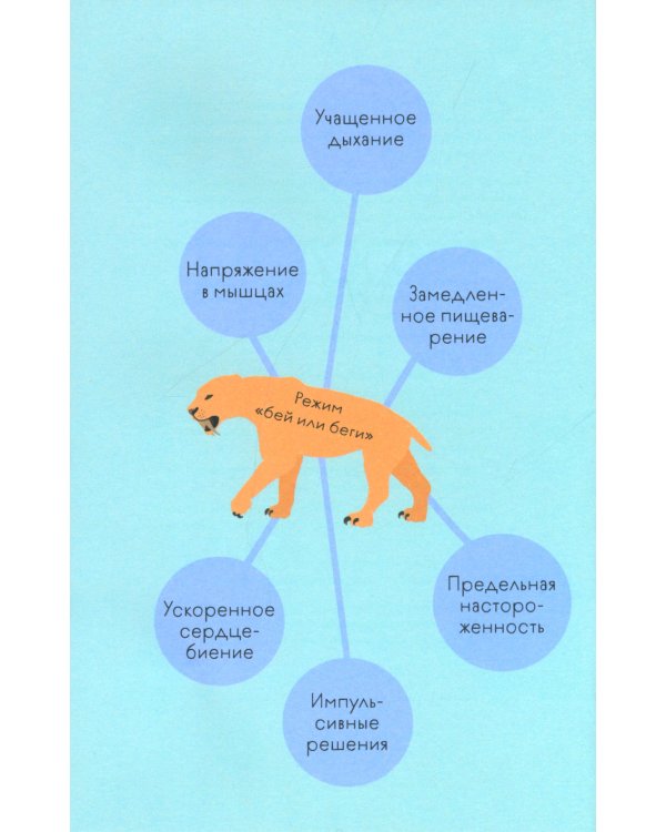 Книга любви к себе: Терапевтическая стратегия поддержки и принятия себя