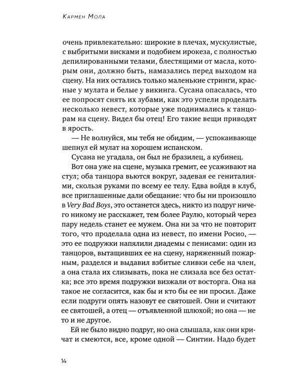 Цыганская невеста. Инспектор полиции Элена Бланко. Кн. 1