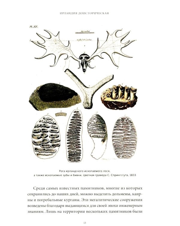 Ирландская культура смерти. «Веселые поминки», духи иного мира и похитители тел