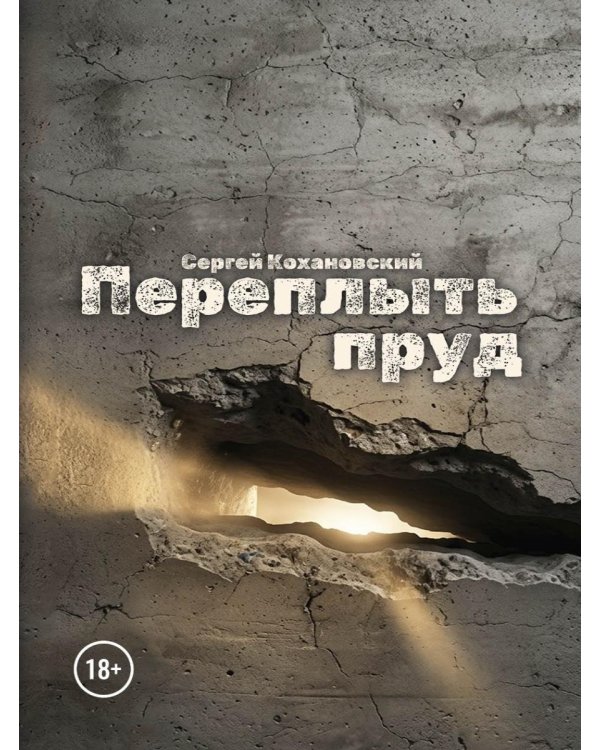 Дополнительное изображение книги «Переплыть пруд»