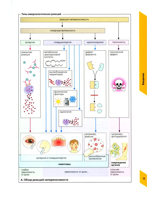 Наглядная аллергология. 3-е изд