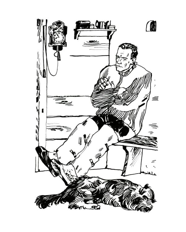 О чем плачут лошади: рассказы