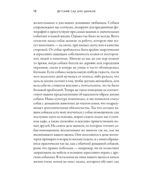 Детский сад для щенков: Как воспитать замечательную собаку