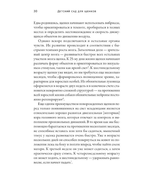 Детский сад для щенков: Как воспитать замечательную собаку