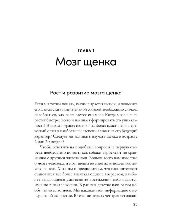 Детский сад для щенков: Как воспитать замечательную собаку