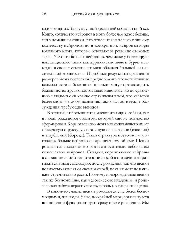 Детский сад для щенков: Как воспитать замечательную собаку