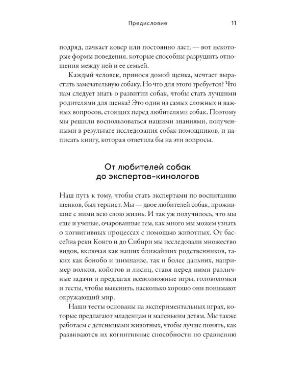 Детский сад для щенков: Как воспитать замечательную собаку