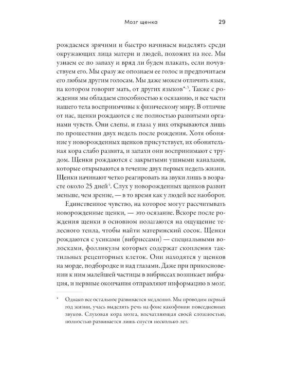 Детский сад для щенков: Как воспитать замечательную собаку