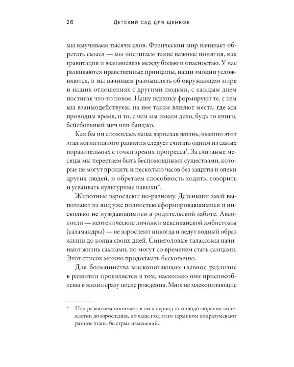 Детский сад для щенков: Как воспитать замечательную собаку
