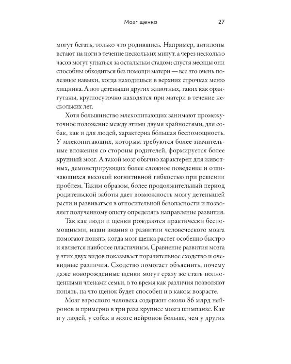 Детский сад для щенков: Как воспитать замечательную собаку