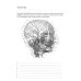 Анатомия человека. Сосуды и нервы органов головы и шеи. Рабочая тетрадь для сомостоятельной работы